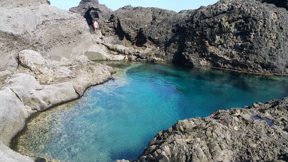 14671115_1259493830775846_1879278571189021631_n